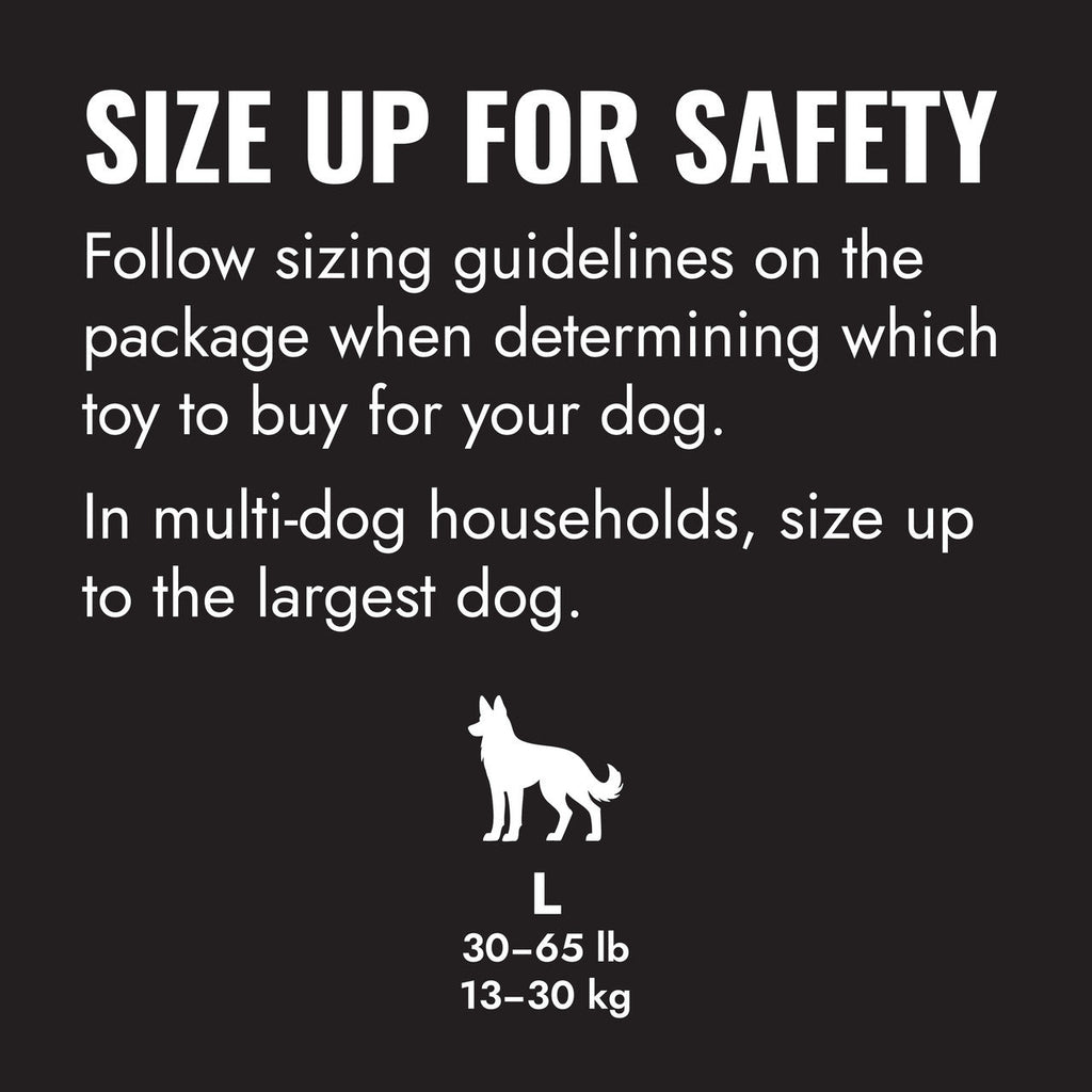 KONG Extreme Ball w/Rope