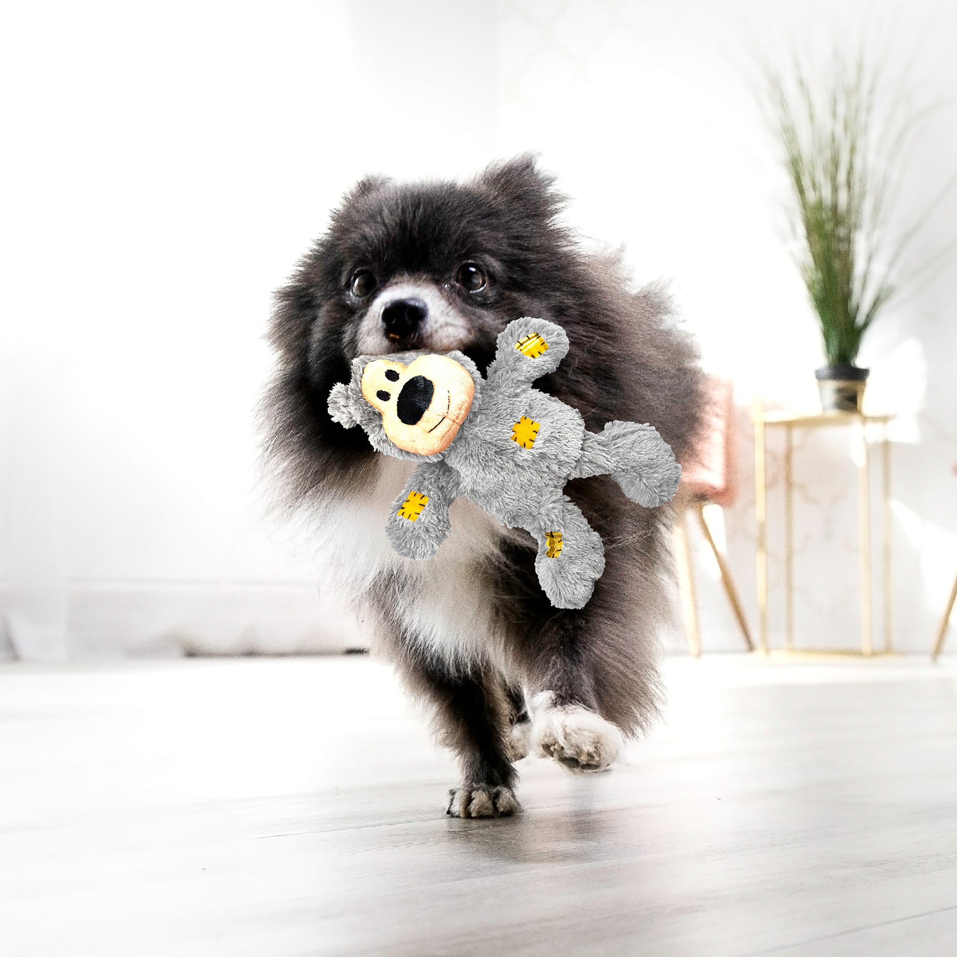 Wild Knots Bear, Assorted Colors