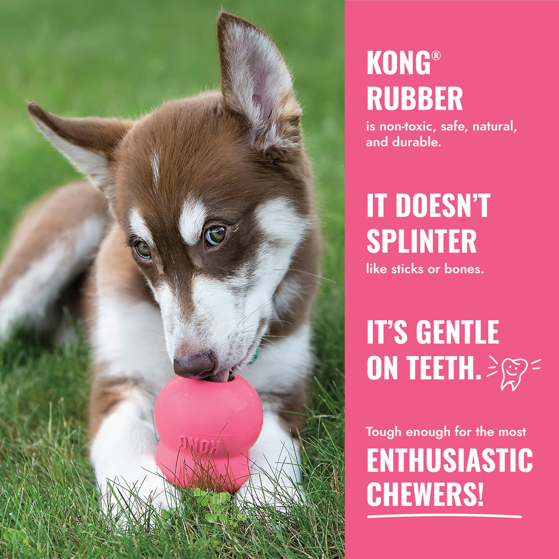 KONG Puppy Tires Pink