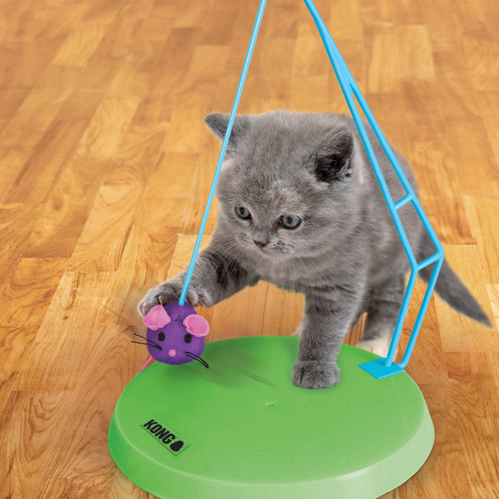 Cat Active Sway 'n Play