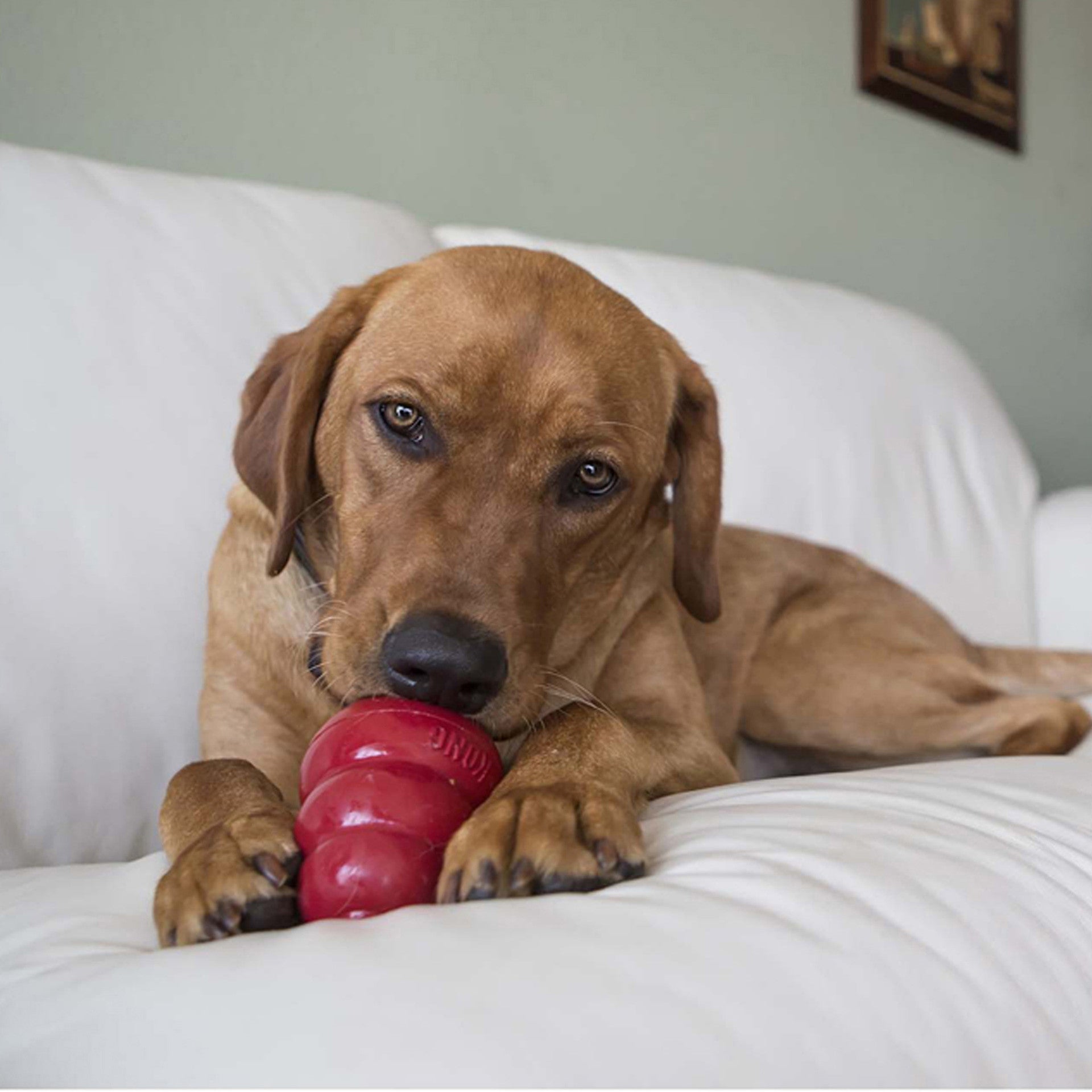 Snacks Bacon & Cheese