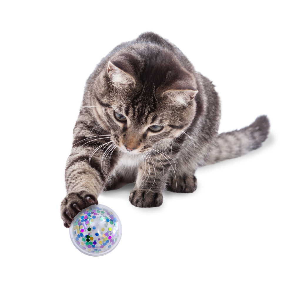 Cat Active Confetti Ball